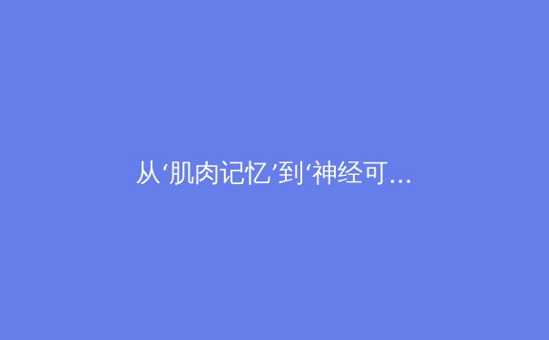 从‘肌肉记忆’到‘神经可塑性’：现代体育训练的科学革命 - 3